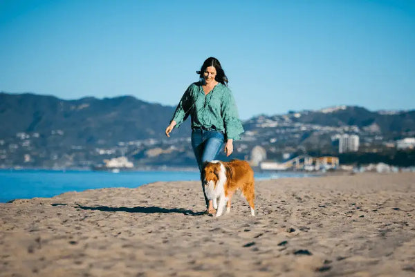 A person walking a dog along a beach with hills behind